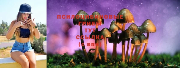 молекула духа Армянск