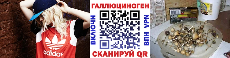 Псилоцибиновые грибы MAGIC MUSHROOMS  мега ONION  Харовск  где можно купить  
